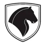 امداد خودرو سنندج
